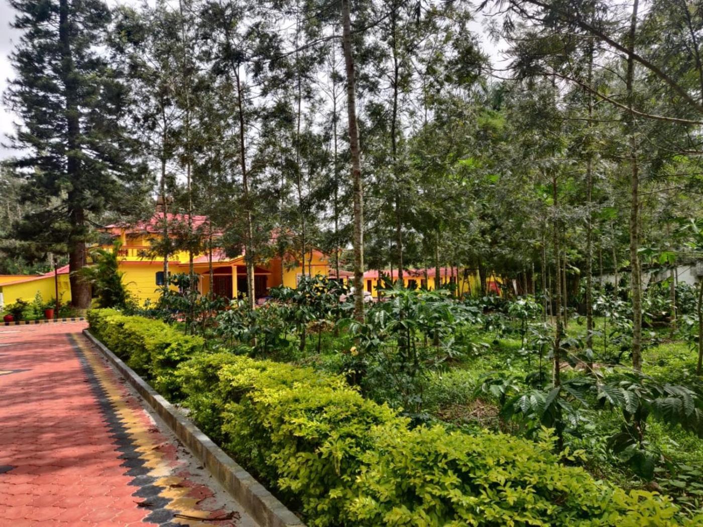Coffeebean Villa - Unwind & Rejuvenate Sakleshpur Exterior photo
